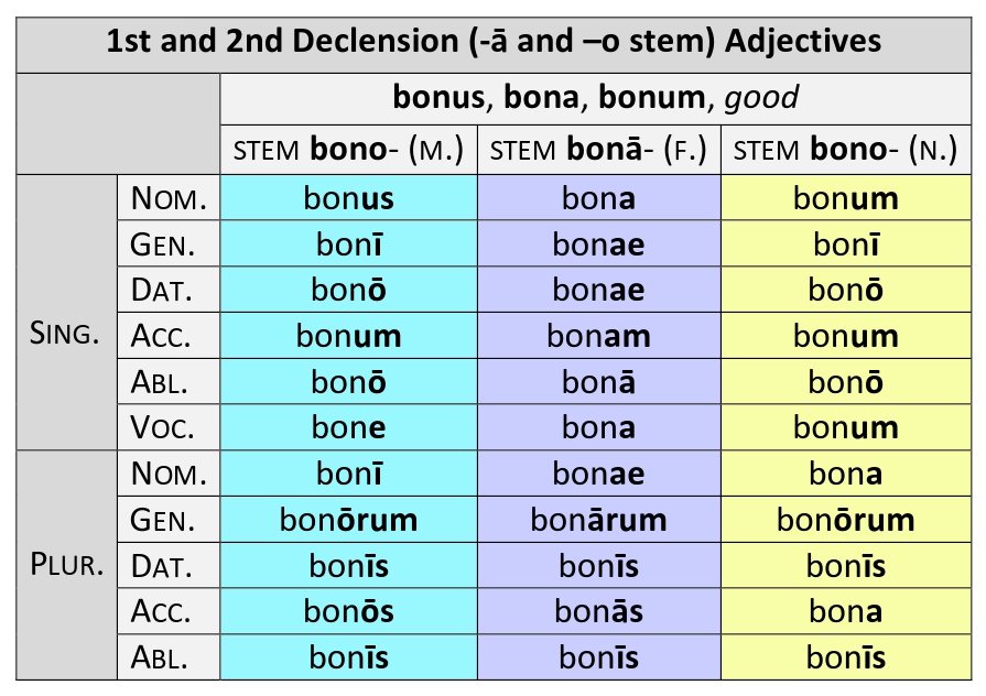 1st and 2nd Declension Adjectives: ā- & o- stems