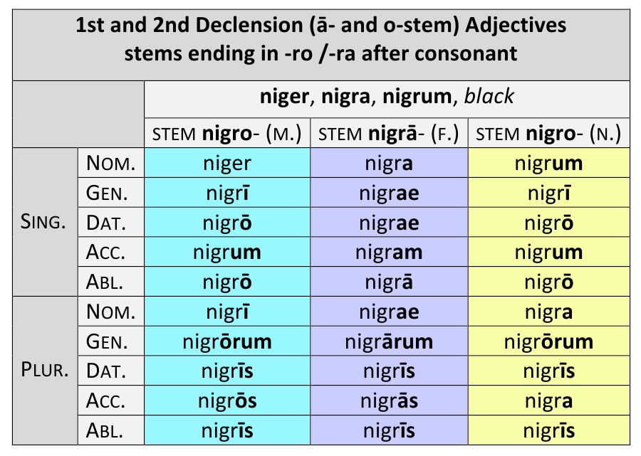 Latin Adjectives: 1st And 2nd Declension 