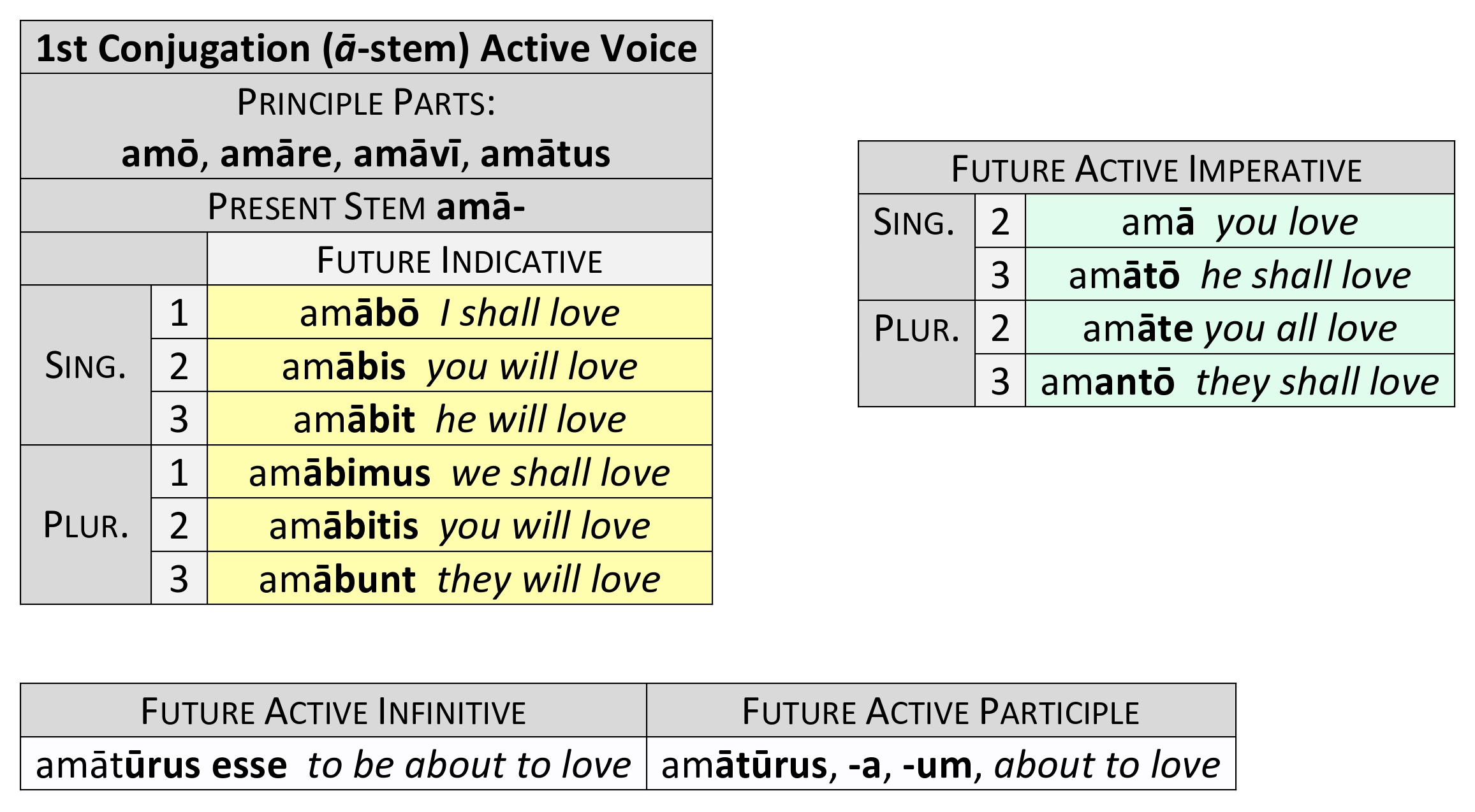 Future active conjugation of amō