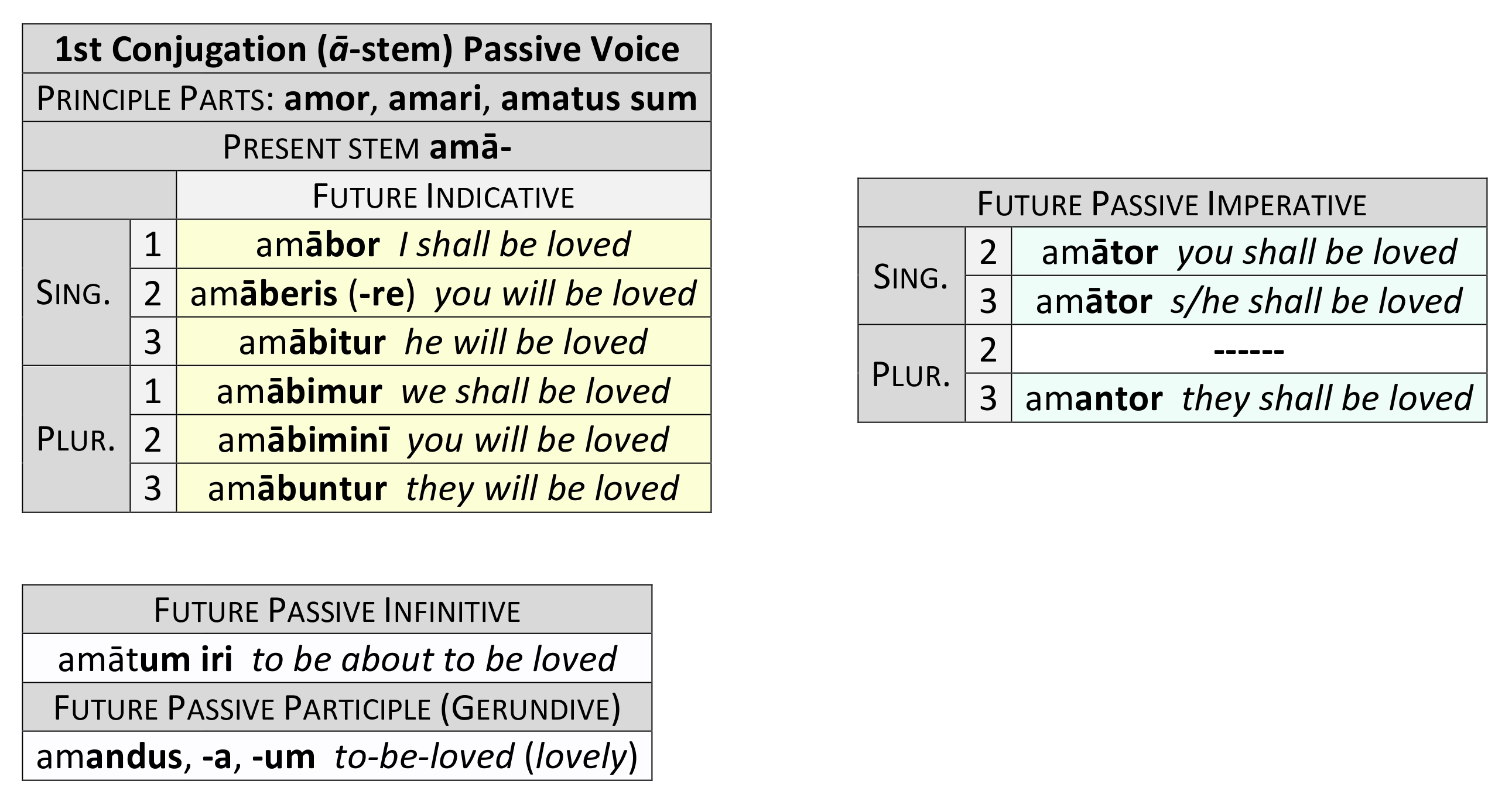 Future passive conjugation of amō