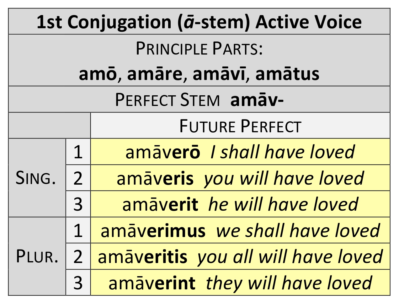 Future perfect active conjugation of amō