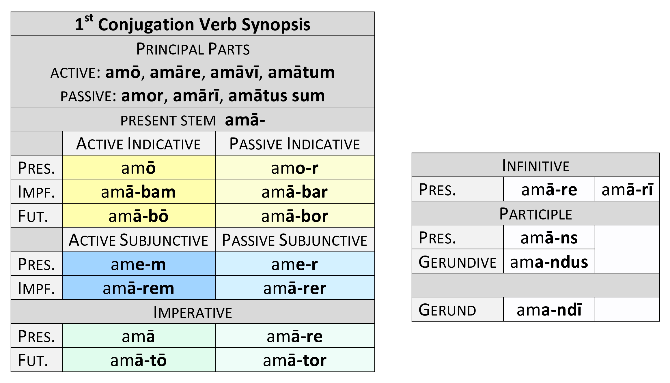 Verb synopsis present system of amō