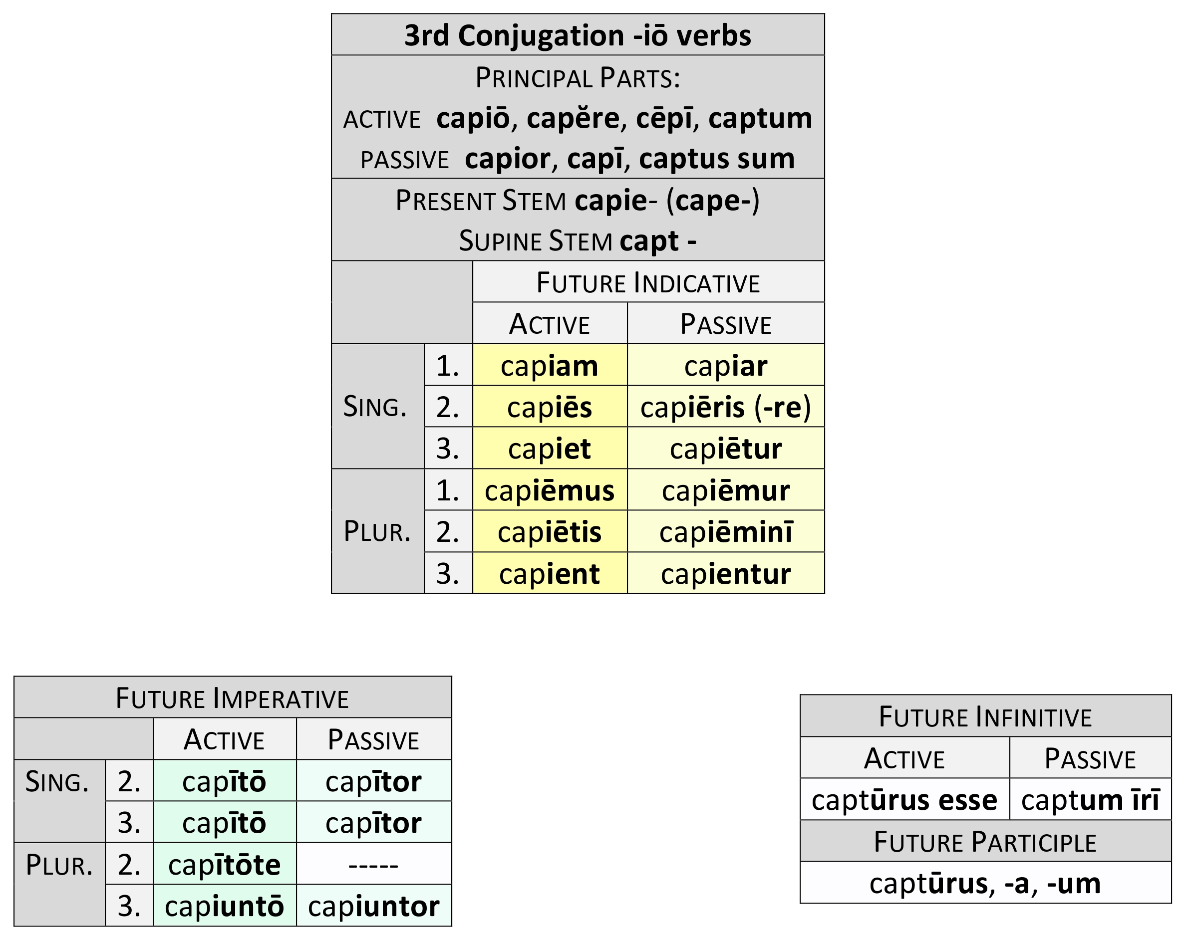 3rd Conjugation in -iō Future paradigm