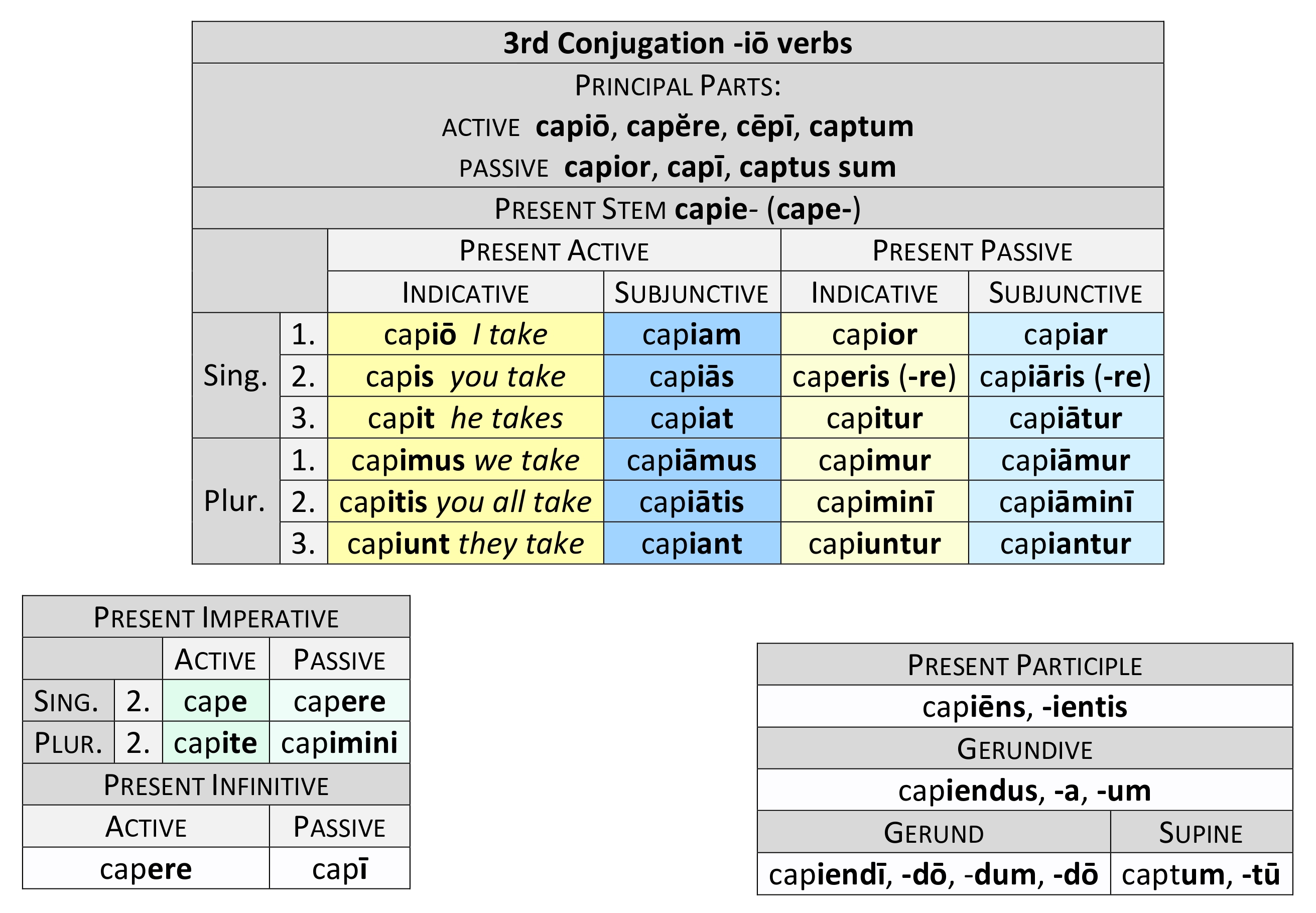 3rd Conjugation in -iō Present paradigm