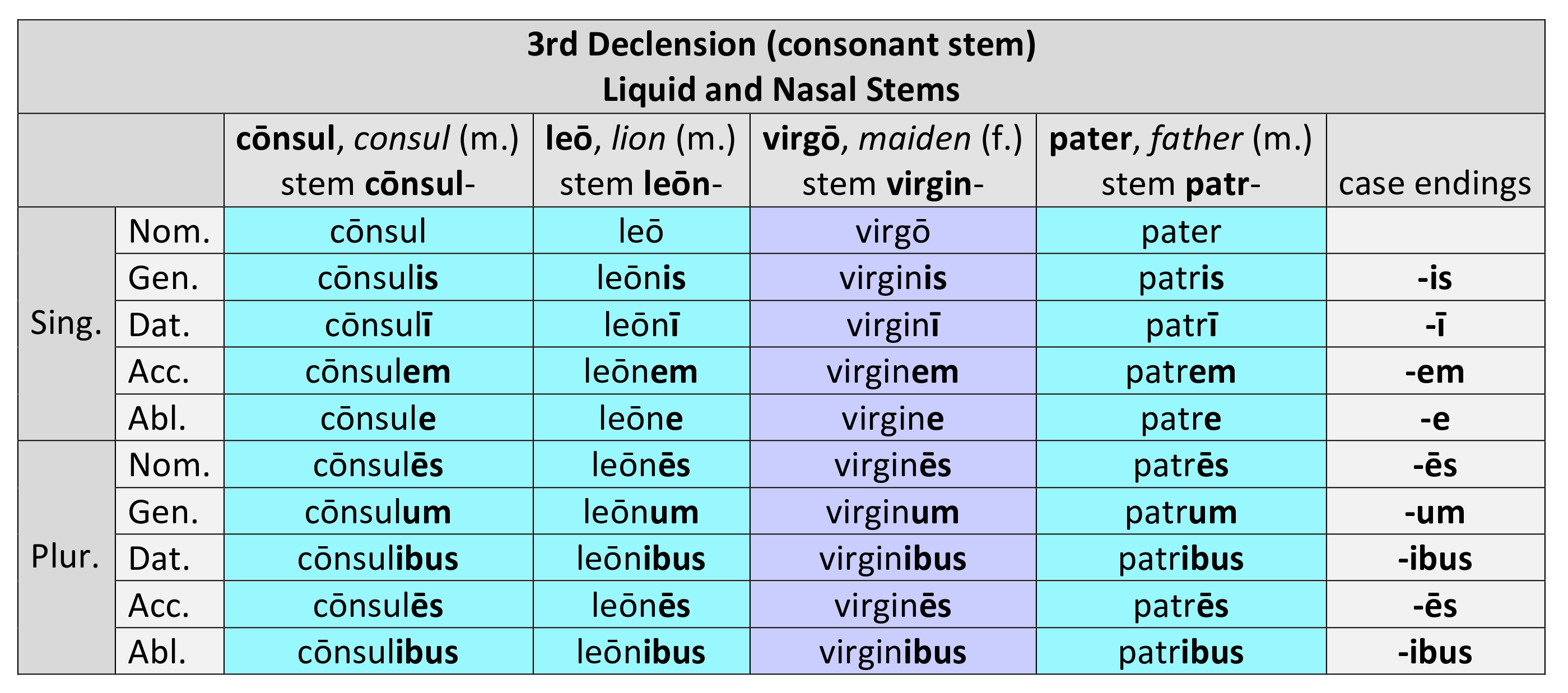 3rd Declension  Dickinson College Commentaries