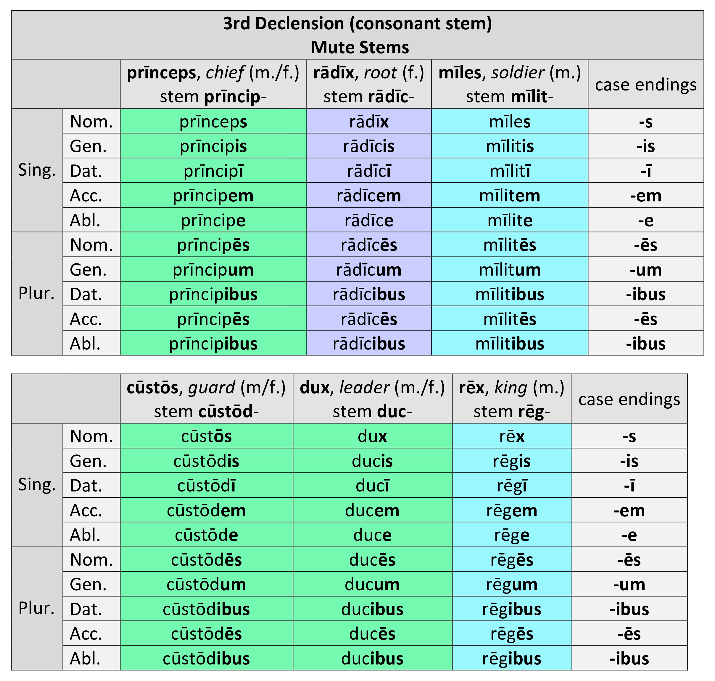 3rd-declension-mute-stems-m-f-dickinson-college-commentaries