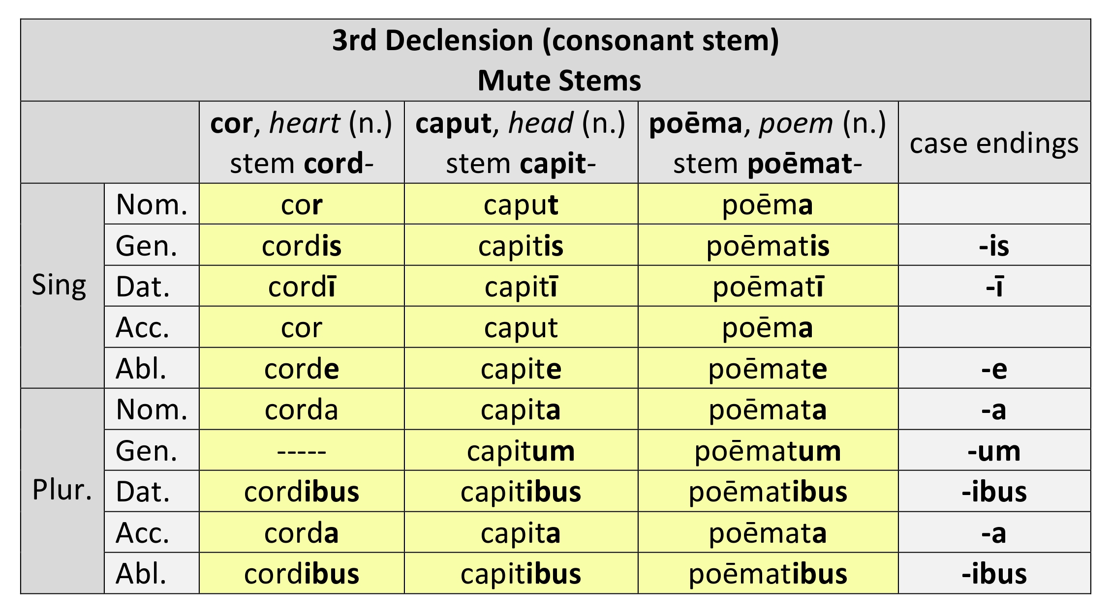 Paradigm for 3rd declension neuter mute stem nouns