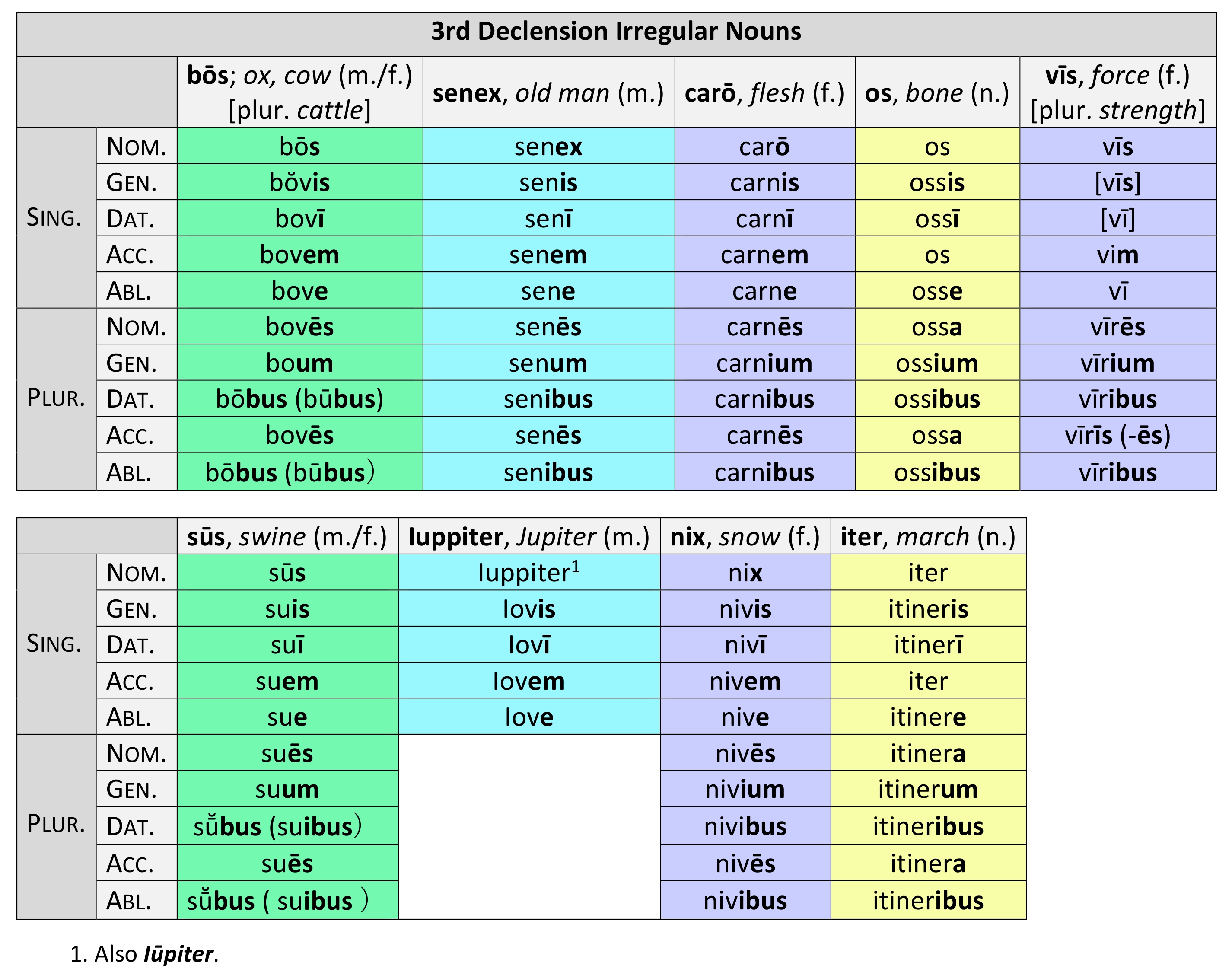 Latin Nouns Telegraph 