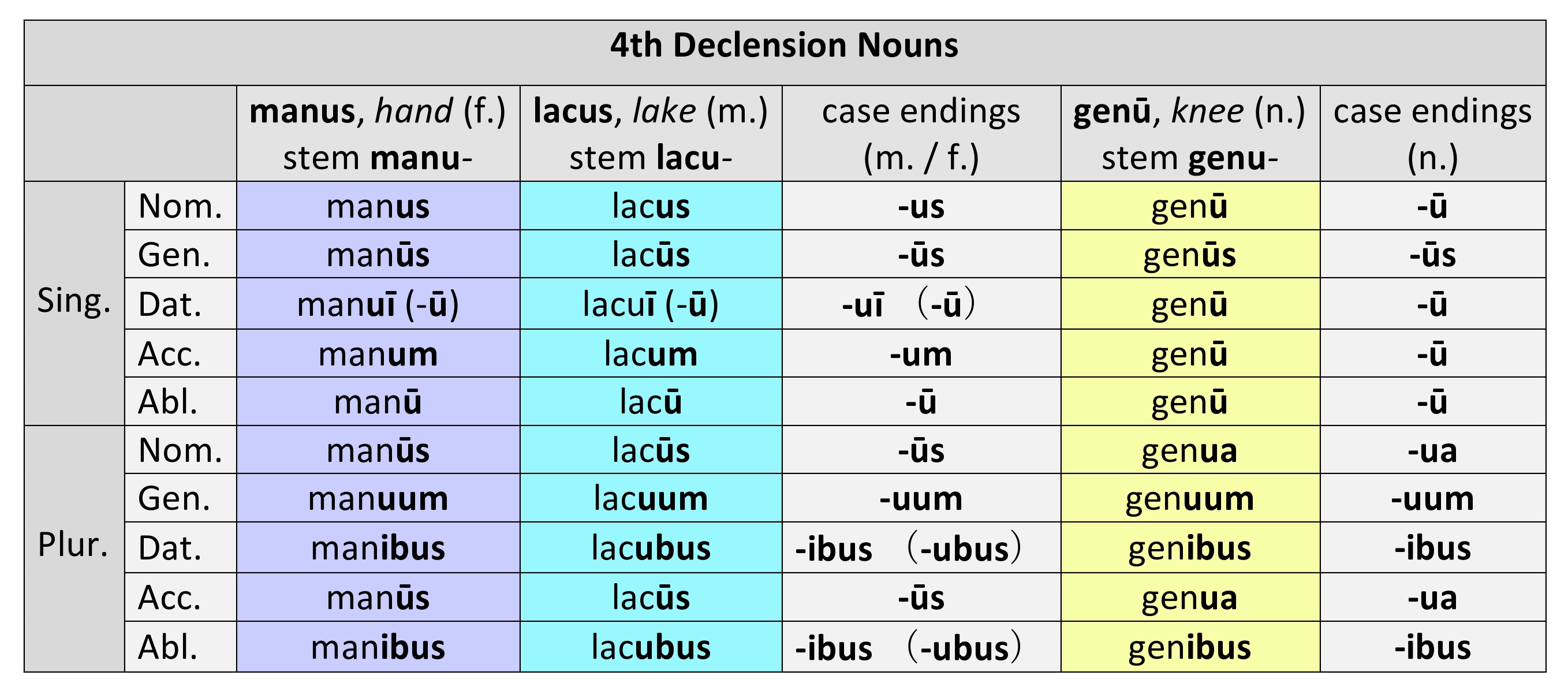 Paradigm for 4th declension nouns