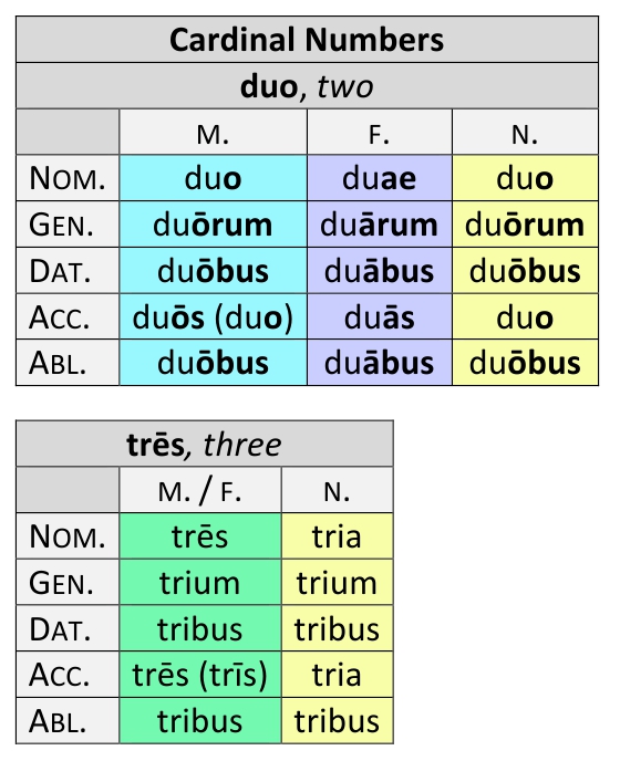 Declension of the numbers Duo (two) and trēs (three)