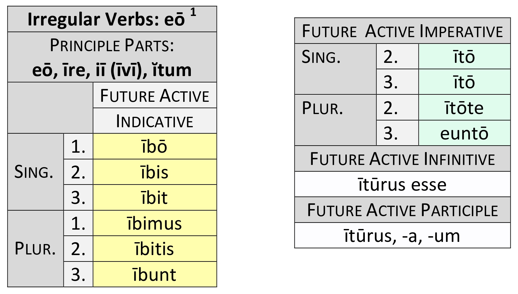 irregular verb eō future paradigm