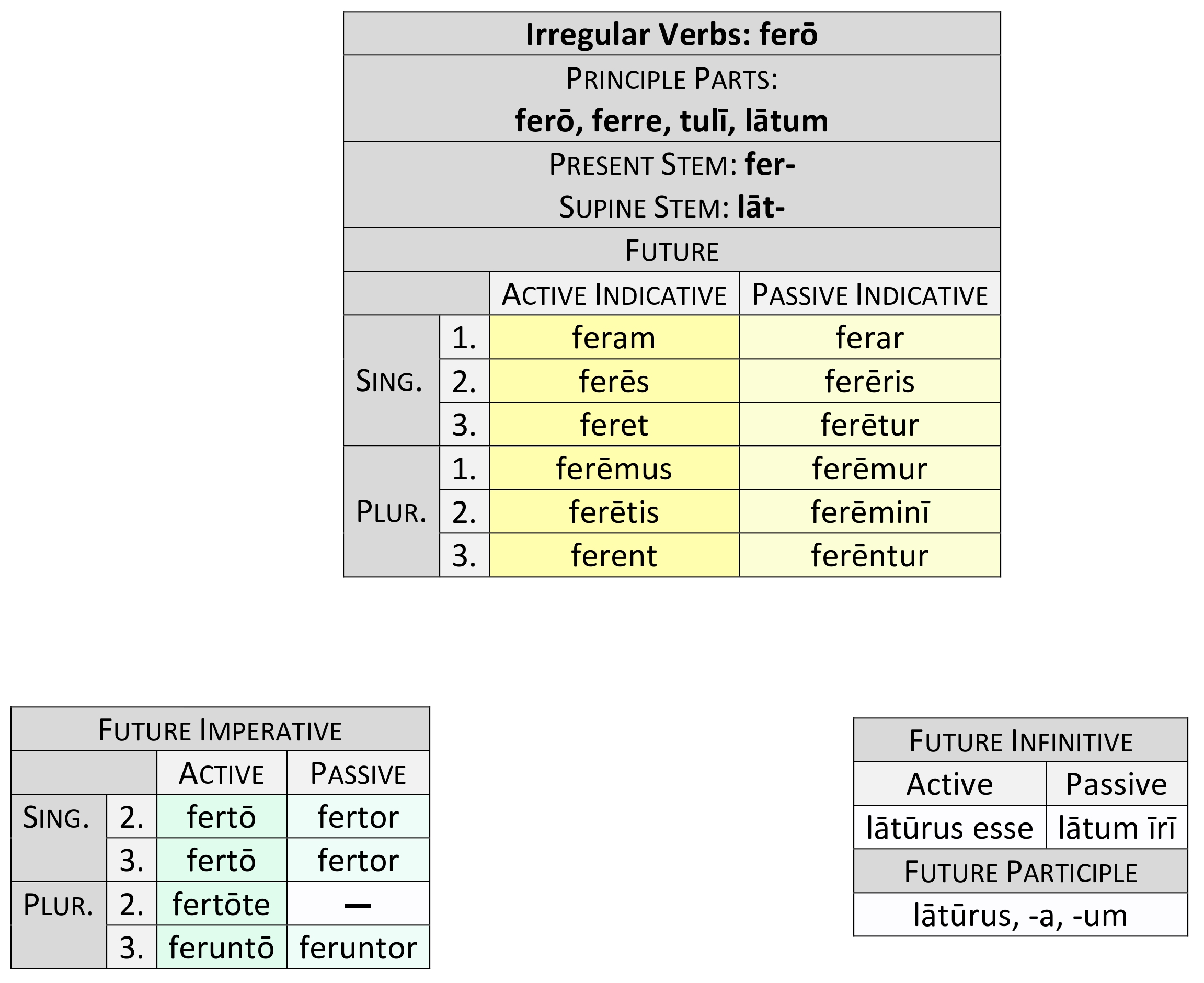 irregular verb ferō future paradigm