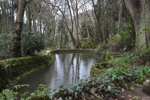 A pool in the Sintra Forest, Portugal