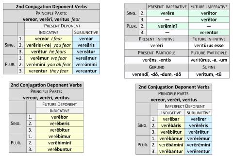 2nd Conjugation Deponent Verbs Present System