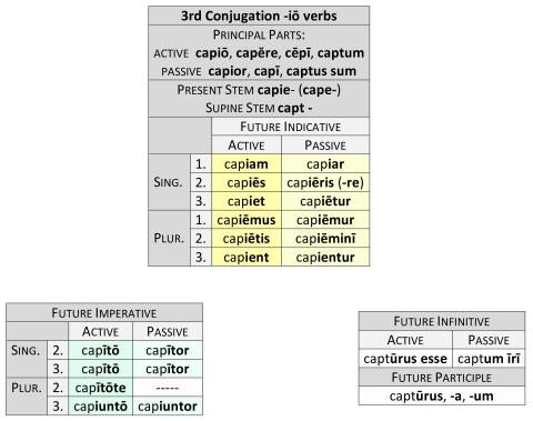 3rd Conjugation -io verbs Future