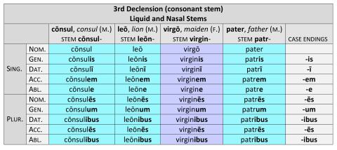 3rd Declension M/F Liquid and Nasal Stems