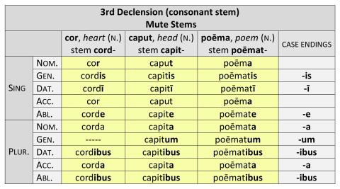 3rd Declension Neuter Mute Stems