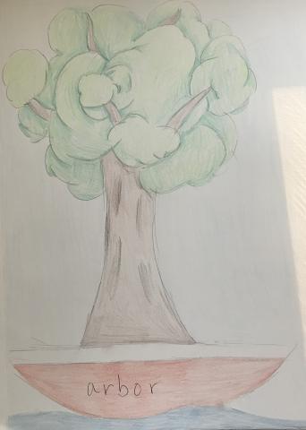 A mature tree in full leaf, apparently rooted in a small boat or vessel floating on water. Written on the side of the vessel is the word "arbor." 