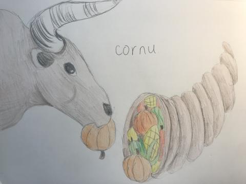 A hand drawn image of a bull's head (left) munching on a small gourd, its horns curving up and out of the top of the image. To the right of the bull sits a cornucopia filled with corn and more gourds. The word "cornu" is written in the center of the image between the bull and cornucopia.