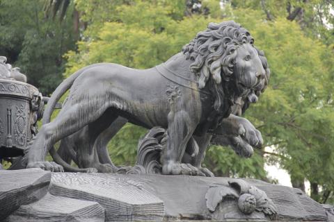 Right-facing profile of a lion, its front left paw is raised and it is yoked to a chariot, only the very front of which is visible. The raised front left paw of a second lion is visible behind the first. Both lions have manes, despite Atalanta being female.