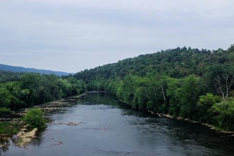 Picture of a river flowing between to wooded banks.
