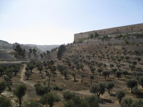 a view of Jerusalem (the Temple Mount) from the Kidron Valley