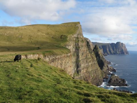 a view of the cliffs on Suduroy, Faroe Islands