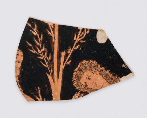 Callisto (right) looks at her hand as it transforms into a paw. The fingernails have already become claws. Only her head and four fingers of one hand remain. Her ears have fully transformed into a bear's. Her hair falls in loose waves around her head. Three branches of a tree are visible at center. At left, a portion of a spotted cloak is visible (perhaps Artemis').