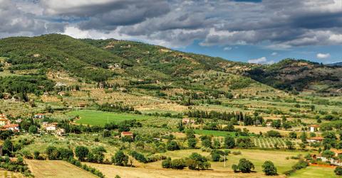 hills studded with trees and farms