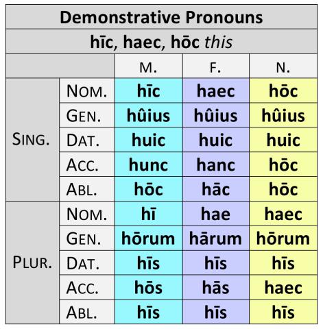 Demonstrative pronouns hic, haec, hoc
