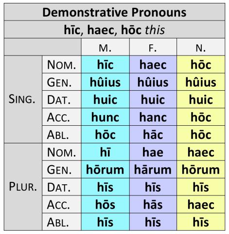 hoc hic haec demonstrative dickinson pronouns