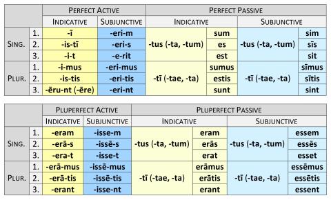 Verb Personal Endings: Perfect & Pluperfect
