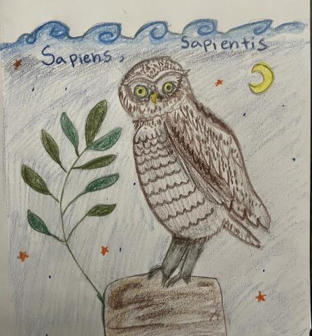Colored pencil drawing of a brown owl standing on a rock in profile, head turned to face the viewer. A branch of greenery, perhaps an olive branch, appears to be growing out from behind the rock. Behind the owl is a dark blue night sky with a yellow crescent moon and orange stars. The words "sapiens, sapientis" are written across the top of the page.