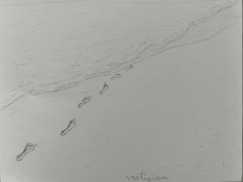Pencil drawing of a beach scene. A line of footprints stretches diagonally from the lower left foreground into the surf in the middle distance, becoming progressively smaller. At the bottom of the page just off center is the word “vestigium."