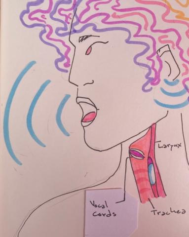 Ink and marker image of a person facing left with the throat cross-sectioned to reveal the anatomy of the throat. The larynx, trachea, and vocal cords are labeled. The vocal cords label is written on a sticky note. Sound waves are depicted by a series of three curved lines leaving the person's mouth and entering the person's ear. 