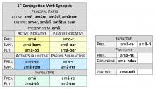 1st Conjugation Present System Synopsis