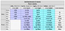 3rd Declension M/F Pure i-stems