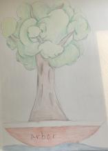 A mature tree in full leaf, apparently rooted in a small boat or vessel floating on water. Written on the side of the vessel is the word "arbor." 