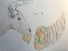 A hand drawn image of a bull's head (left) munching on a small gourd, its horns curving up and out of the top of the image. To the right of the bull sits a cornucopia filled with corn and more gourds. The word "cornu" is written in the center of the image between the bull and cornucopia.