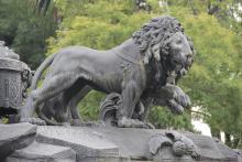 Right-facing profile of a lion, its front left paw is raised and it is yoked to a chariot, only the very front of which is visible. The raised front left paw of a second lion is visible behind the first. Both lions have manes, despite Atalanta being female.