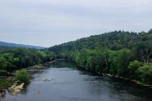 Picture of a river flowing between to wooded banks.