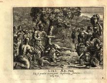 Eimmart: Aeneas brings deer to his companions
