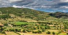 hills studded with trees and farms