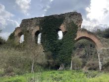 Roman ruin with climbing plants growing on it